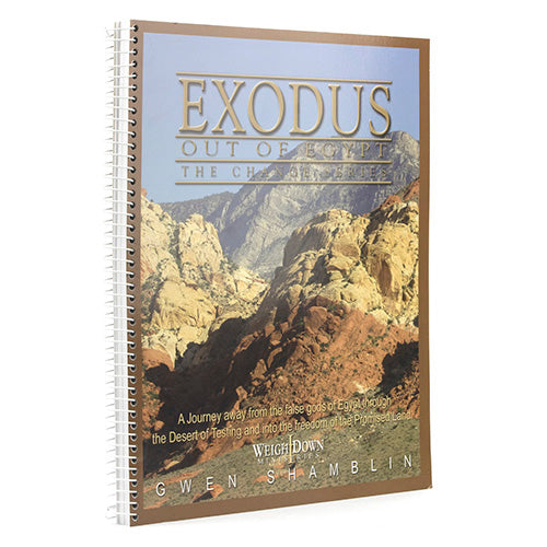 Exodus Out of Egypt - Change Series Workbook